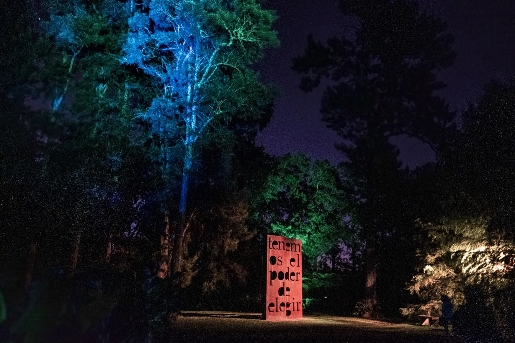 Árboles iluminados en azul y una obra roja en el bosque nocturno