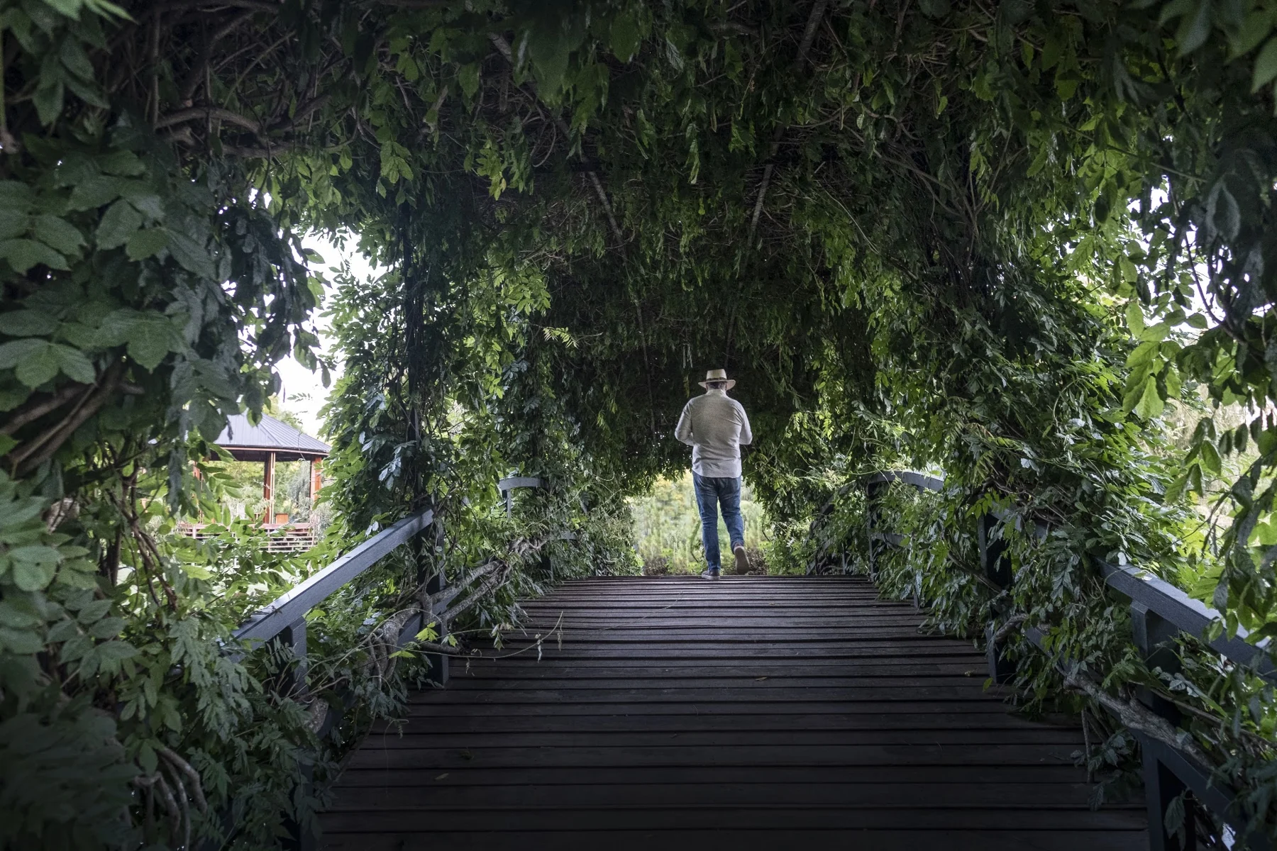Puente rodeado de vegetación y una escultura al fondo